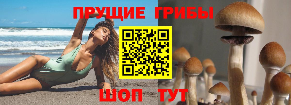 магазин продажи   Галлюциногенные грибы Cubensis  Вход с VPN  Белебей 